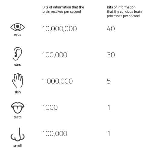 Selective Attention Psychology