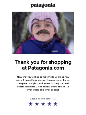 Patagonia review - Invesp