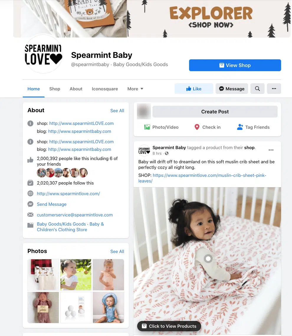 Spearmint Baby _ - Invesp