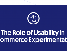 The Role of Usability in eCommerce Experimentation