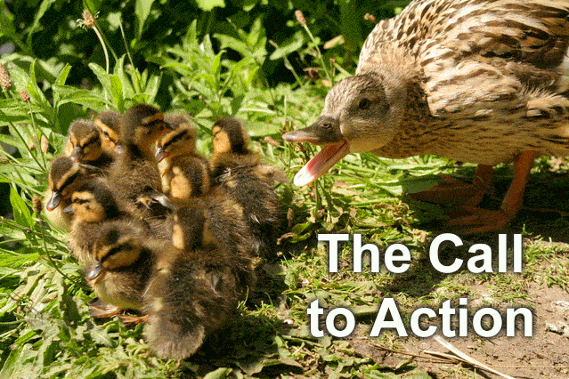 Writing effective call to action