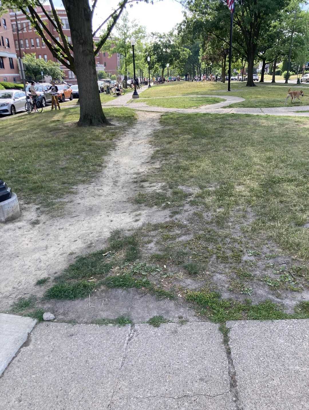 desire paths - Invesp