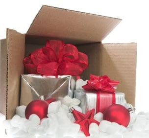 free shipping during the holiday season
