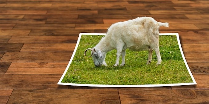 image-editing-101040_640 - Invesp