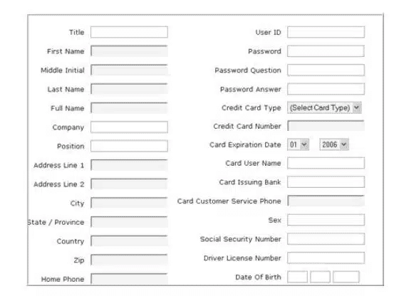 long-forms - Invesp example of long annoying forms