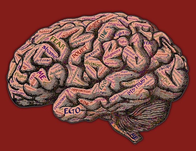 an image of the brain depicting how prospective buyers make their buying decisions.