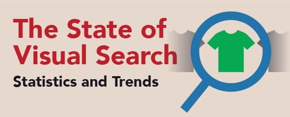 The State of Visual Search Statistics and Trends