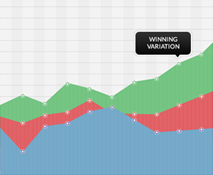 Full websiet optimization